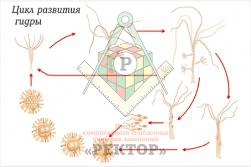 Кракен наркомаркет