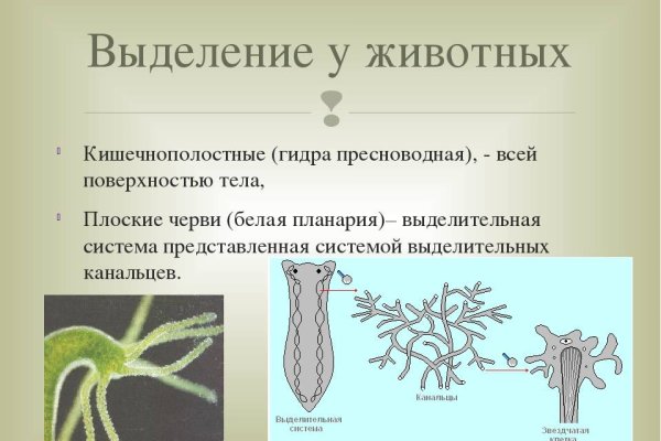 Оригинальные ссылки кракена