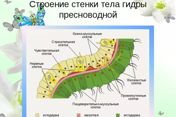 Кракен даркнет маркет плейс