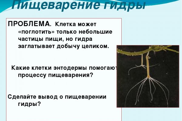 Кракен что это магазин